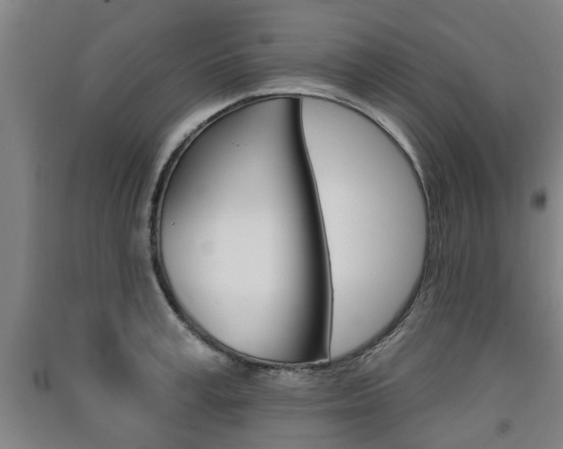 X0000091510995200708170946