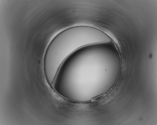 X0000091510996200708170946