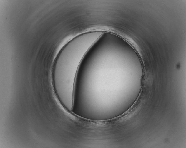 X0000091510997200708170946