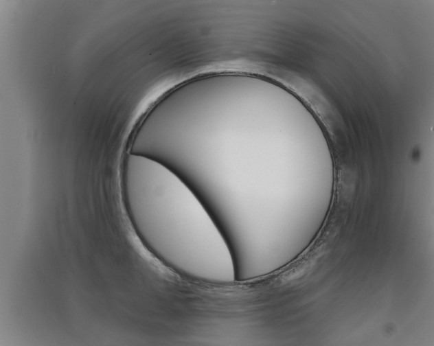 X0000091510998200708170946
