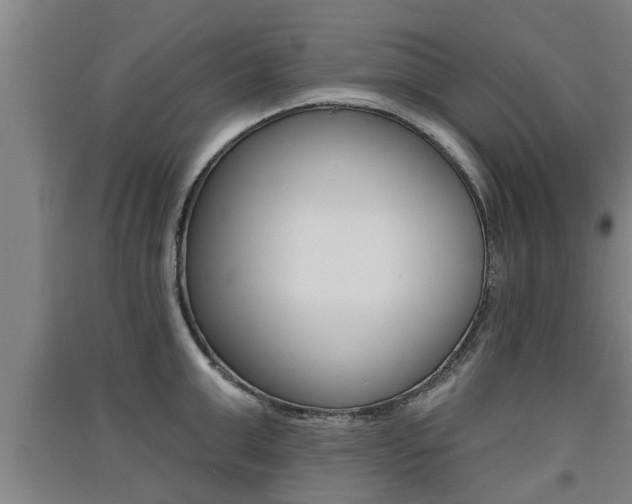 X0000091510999200708170946