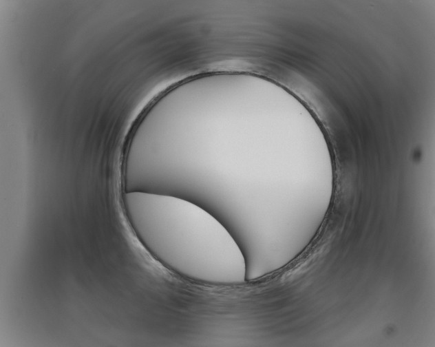 X0000091511000200708170946