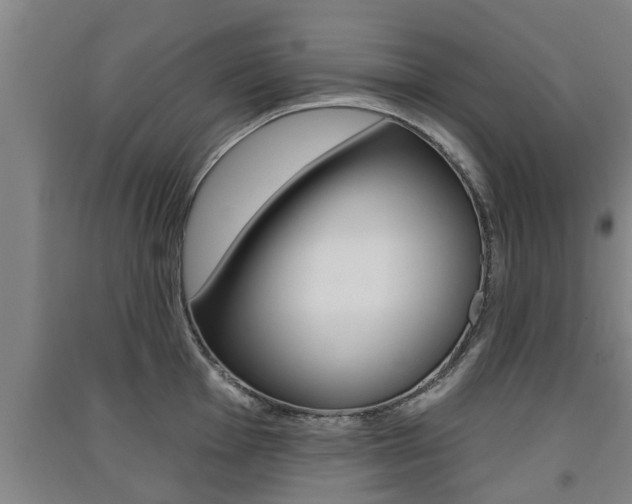 X0000091511001200708170946