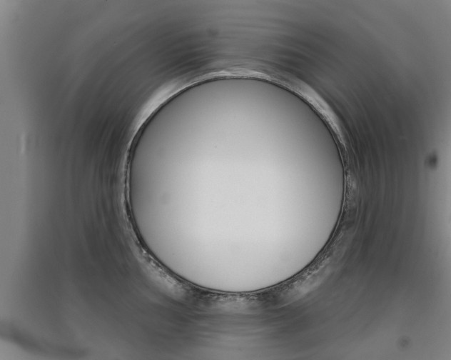 X0000091511002200708170946