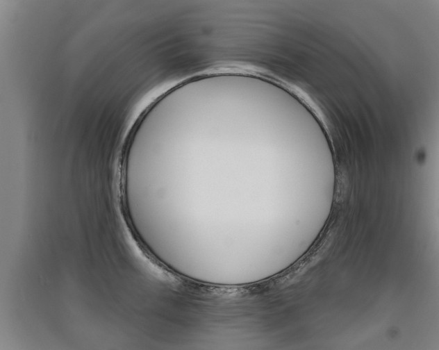 X0000091511003200708170946