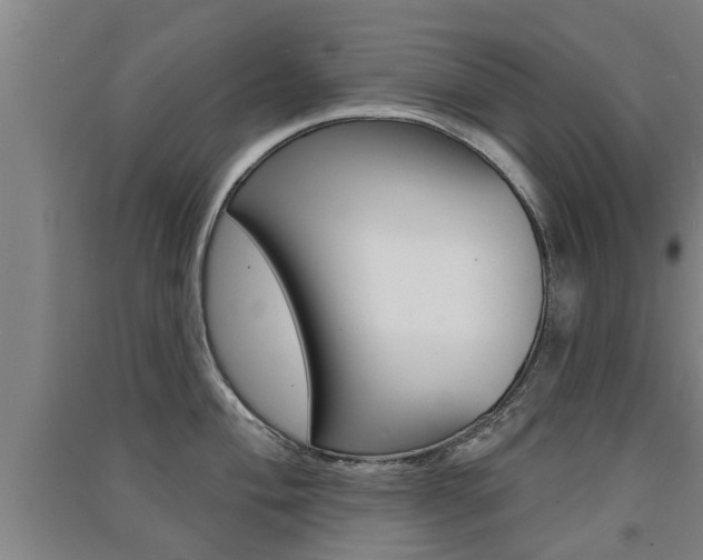 X0000091511004200708170946