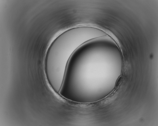 X0000091511005200708170946