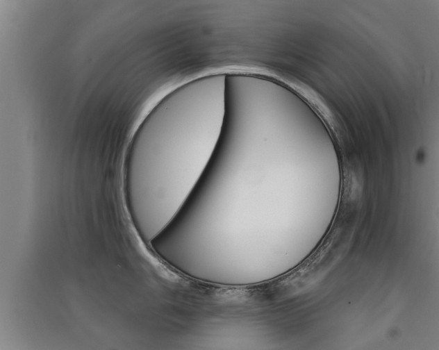 X0000091511006200708170945