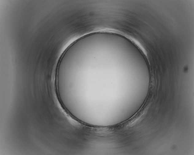X0000091511007200708170945