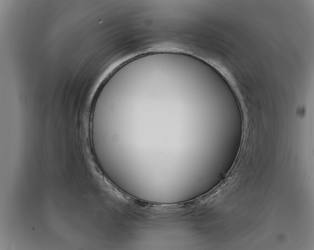 X0000091511008200708170945