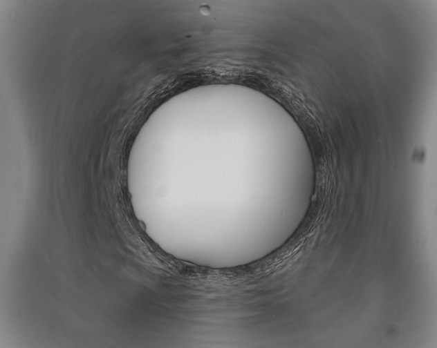 X0000091511009200708170945