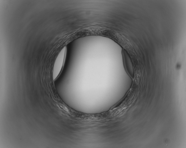 X0000091511010200708170945