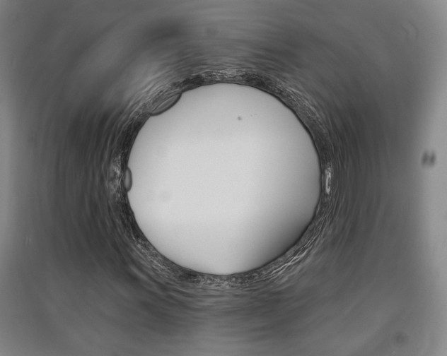 X0000091511011200708170945