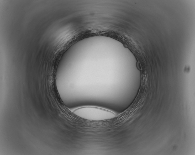 X0000091511012200708170945