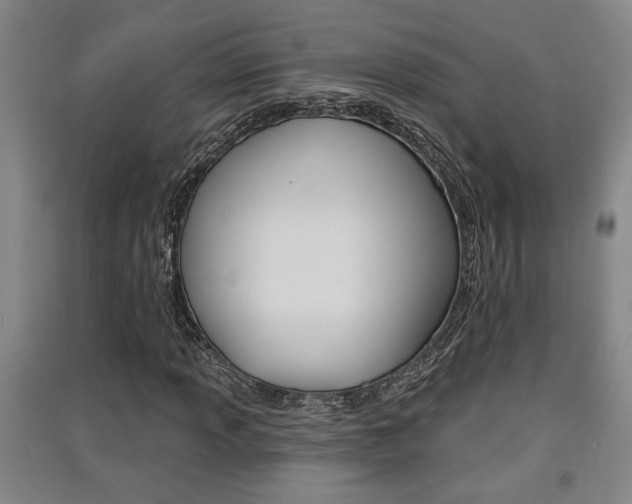 X0000091511013200708170945