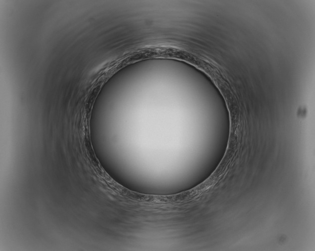 X0000091511014200708170945