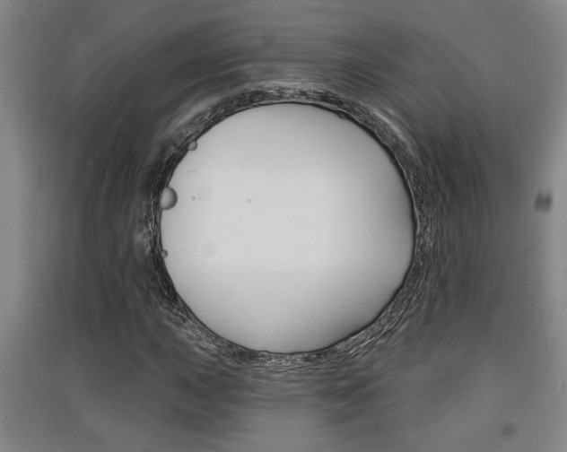 X0000091511015200708170945
