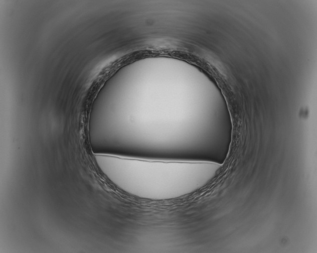 X0000091511016200708170945