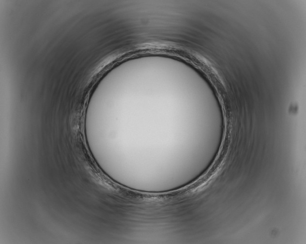 X0000091511017200708170945