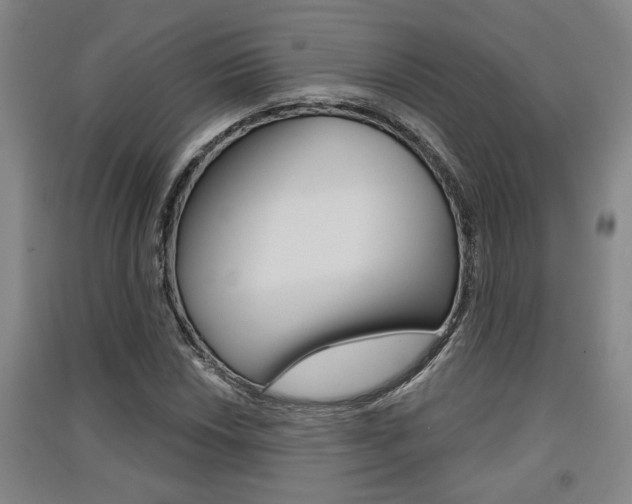 X0000091511018200708170945