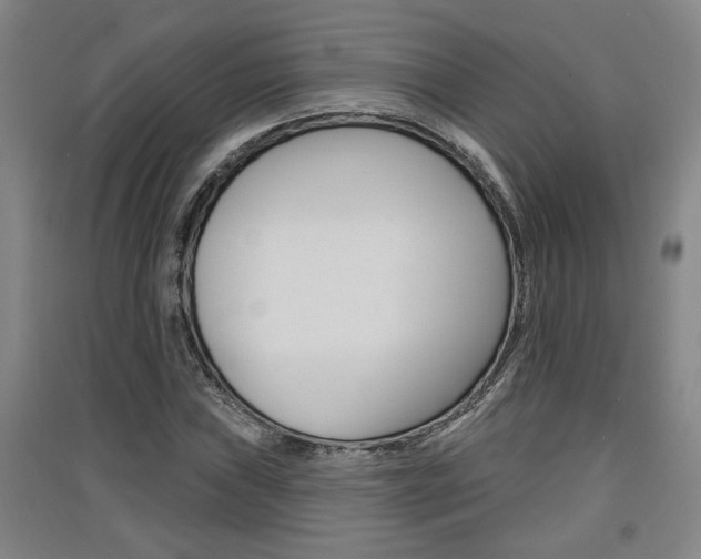 X0000091511019200708170945