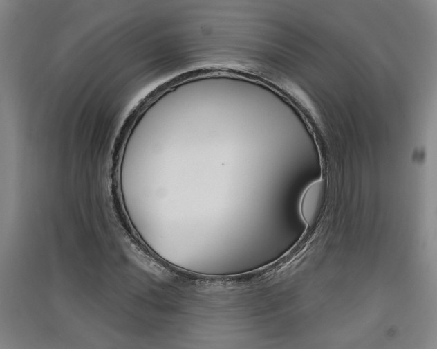 X0000091511020200708170945