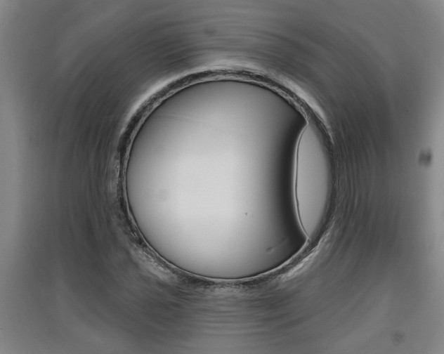 X0000091511021200708170945