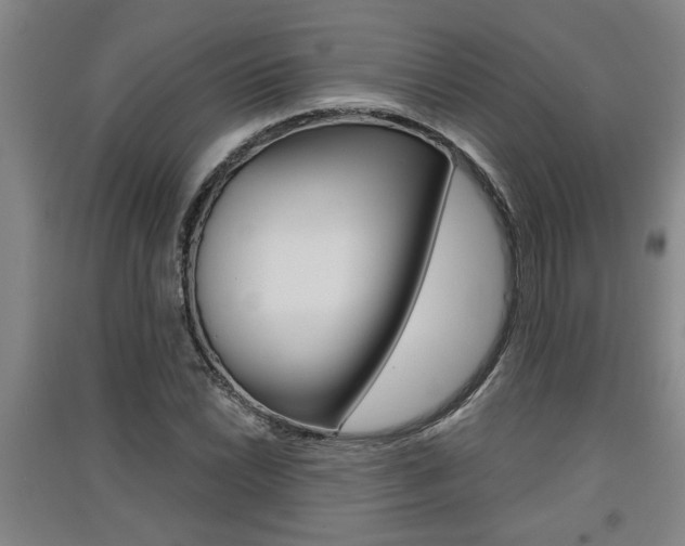 X0000091511022200708170945