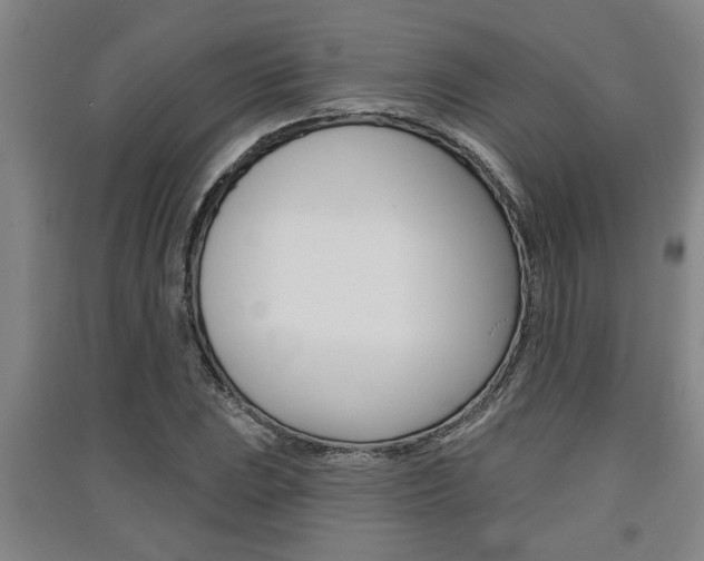 X0000091511023200708170945