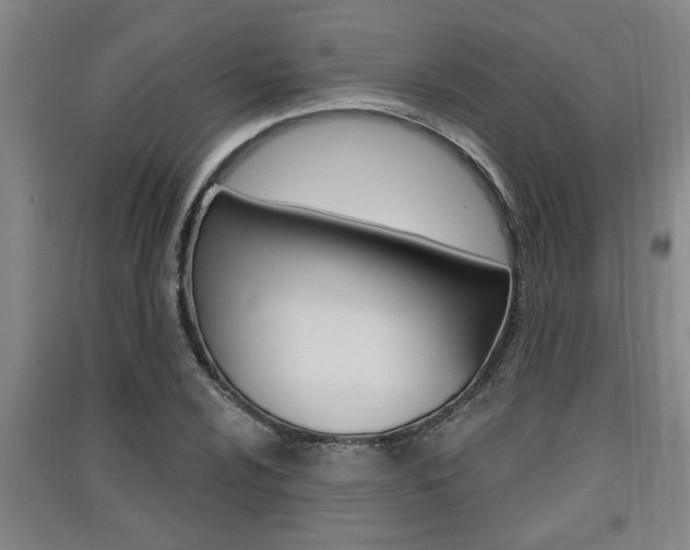 X0000091511024200708170945
