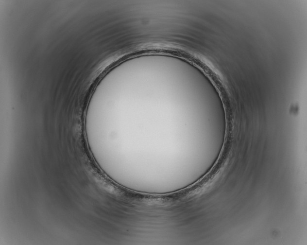 X0000091511025200708170945