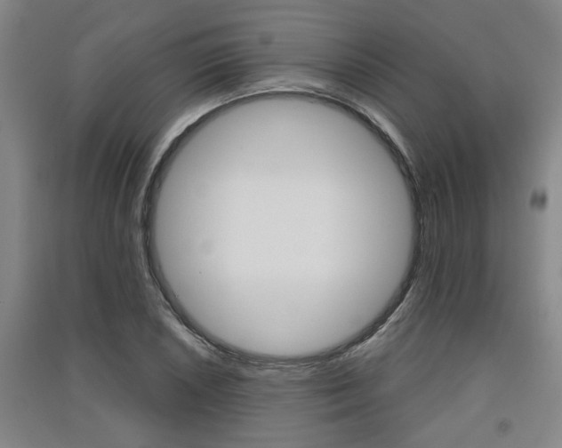 X0000091511026200708170945