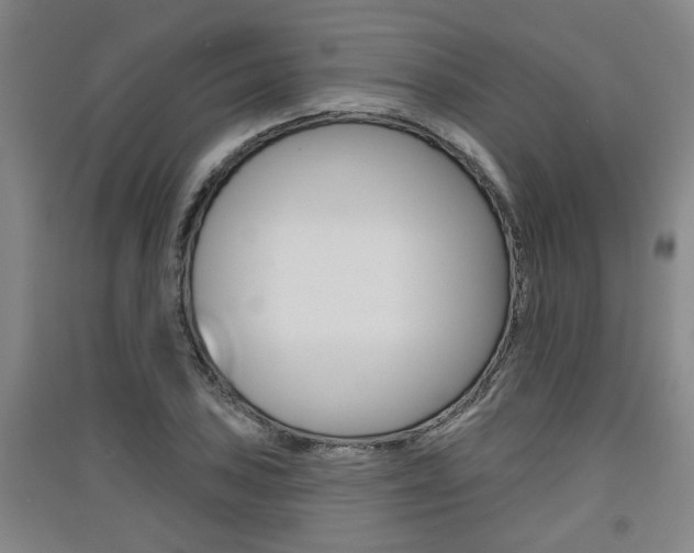 X0000091511027200708170945