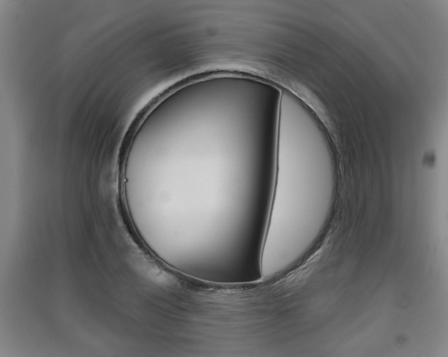 X0000091511028200708170945