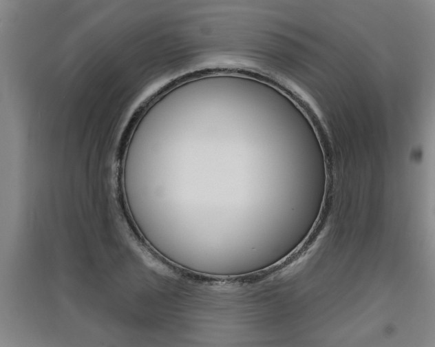 X0000091511029200708170945