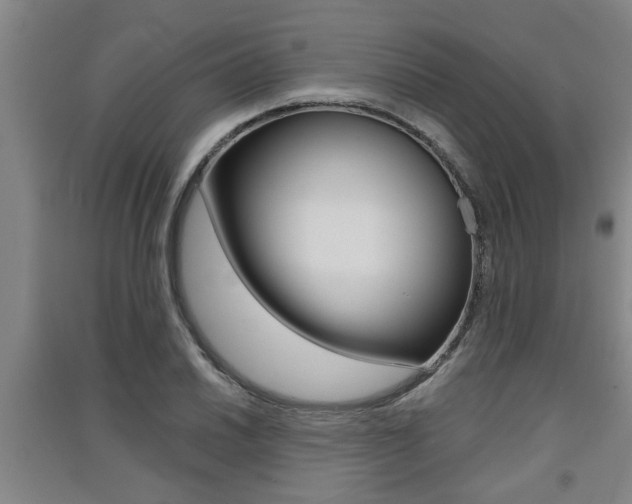 X0000091511030200708170945