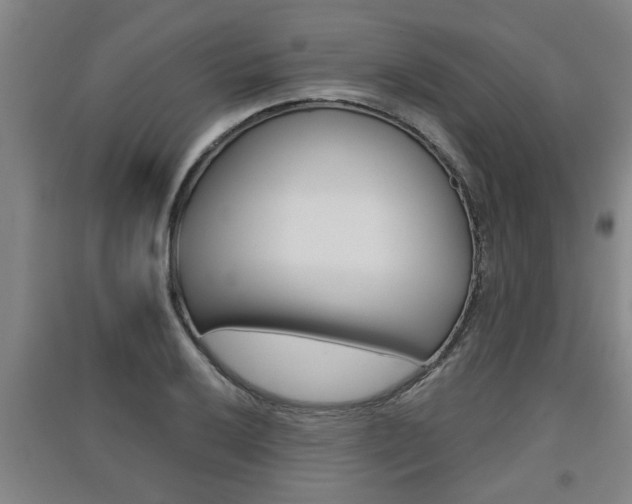 X0000091511032200708170945