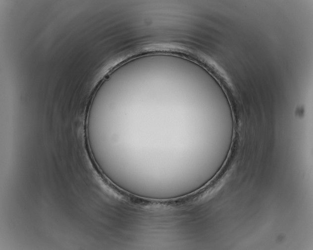 X0000091511033200708170945
