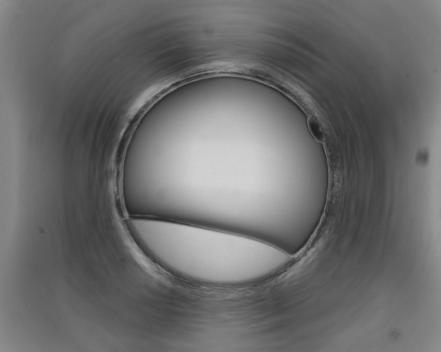 X0000091511034200708170945