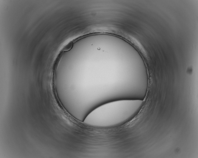 X0000091511035200708170945