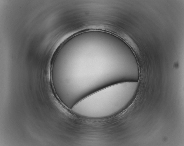 X0000091511036200708170945