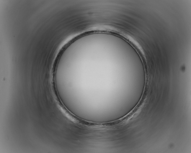 X0000091511037200708170945