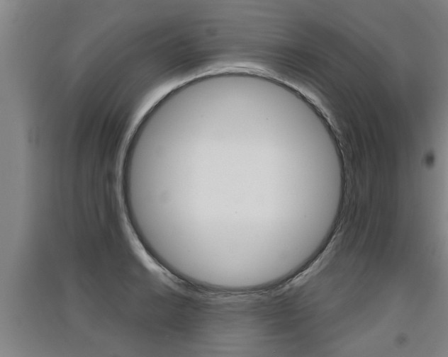 X0000091511038200708170945