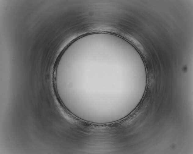 X0000091511039200708170945
