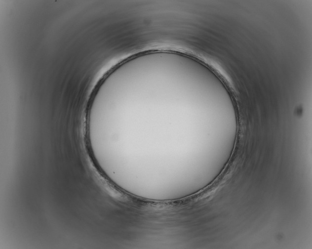 X0000091511040200708170945