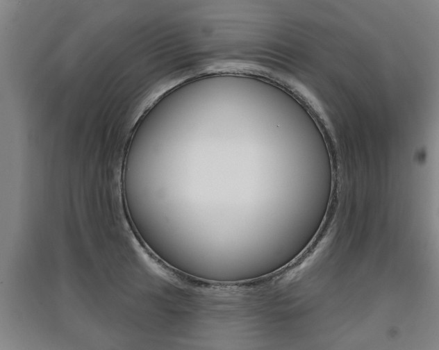 X0000091511041200708170945