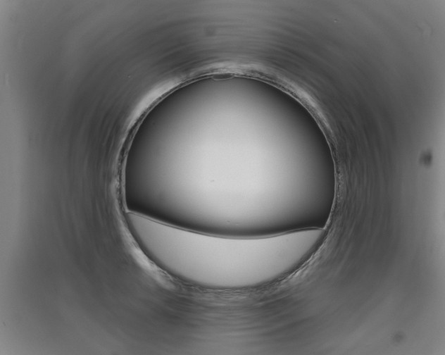 X0000091511042200708170945