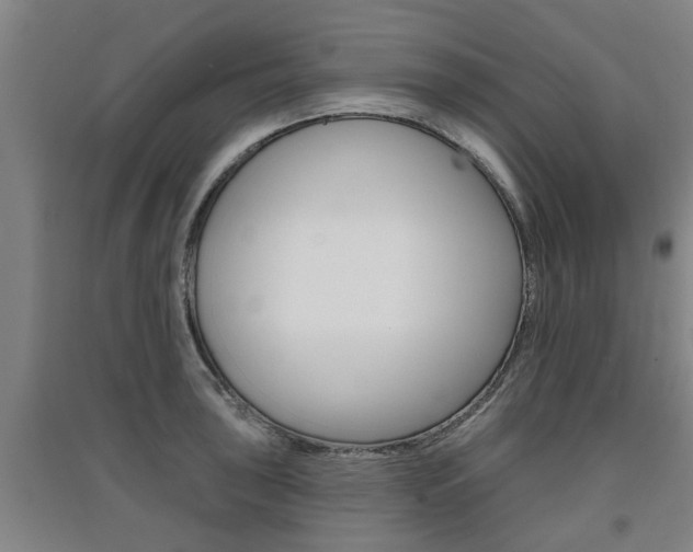 X0000091511043200708170945