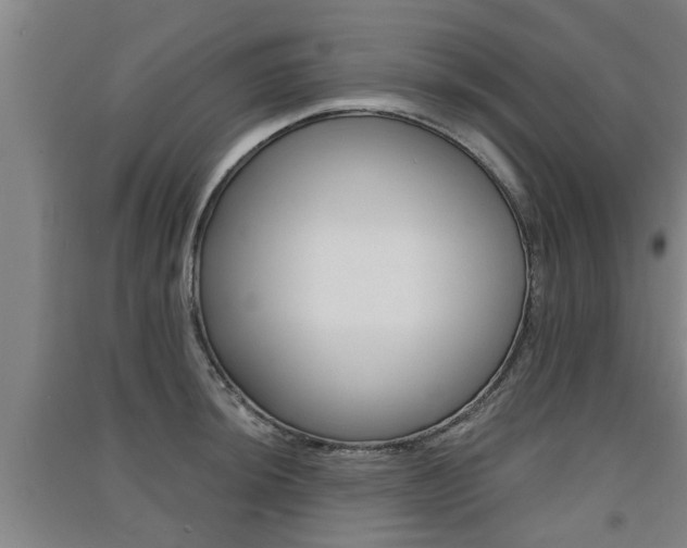 X0000091511044200708170945