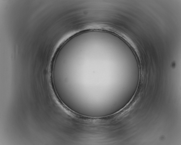 X0000091511045200708170945
